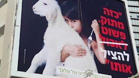 חוות השלום, צילום: חיים כהן